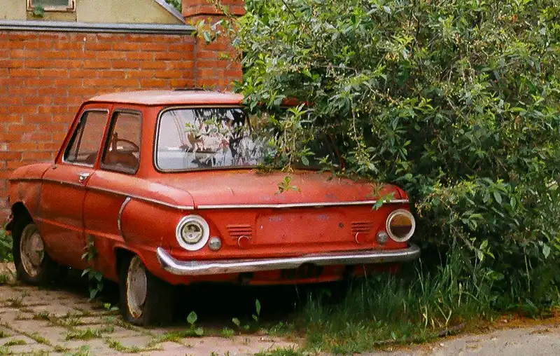 Vintage Car Parked Near a Plant, when is it time to junk your car