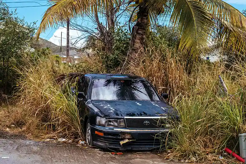 A Broken-down Black Car Surrounded By Tall Weeds, Junk a Car Without a Title